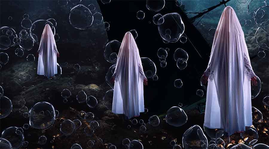 WEB-13-900X500.jpg